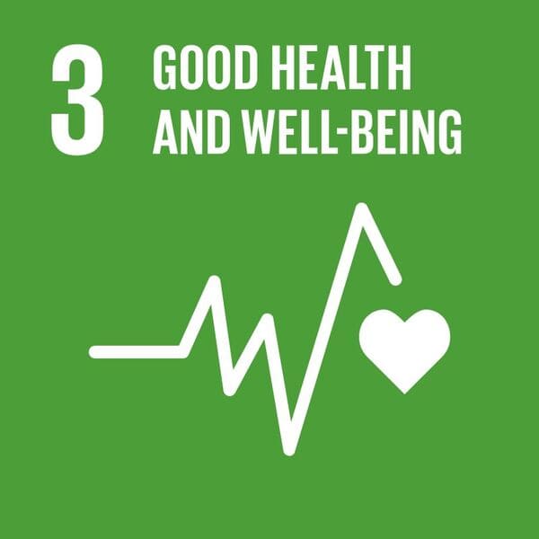 UN Sustainable Goals, SDG, Derrycourt