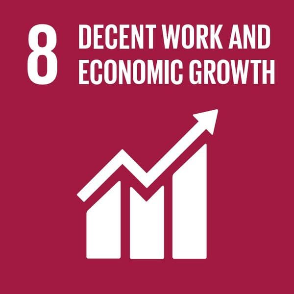 Decent work and economic growth UN Sustainable Goals, SDG, Derrycourt